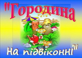 Город на підвіконні